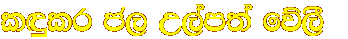 l�lr c, W,am;a f�,S  