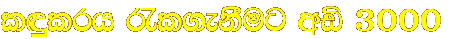 l�lrh /l.ekSug w� 3000 